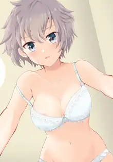 AkiNana no Ecchi na Yatsu Matome, 中文