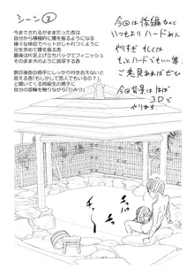 この子孕ませてもいいですか?, 日本語