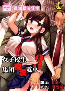 Joshikousei Shuudan Chikan Densha 3, 中文