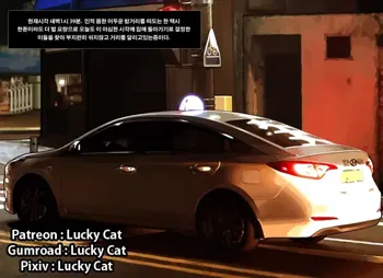 Taxi Driver's Lucky Day | 기사님의 운수좋은날, 한국어