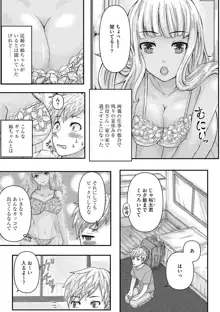 ギャル従姉ちゃんと性処理Hの夏休み, 日本語