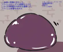 魔術師見習いミオちゃんの受難, 日本語