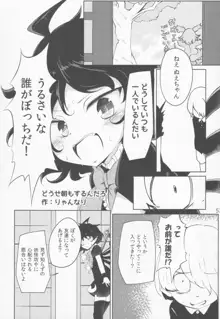 正体不明の彼女ぬX, 日本語