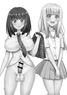 Otokonoko ga Futanari JK DeliHeal o Yondara Byou de Mesu Ochi shichaimashita., 中文