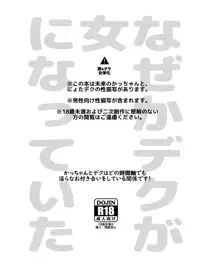 なぜかデクが女になっていた, 日本語