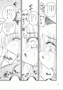 フェイトさん♥まえからうしろから, 日本語