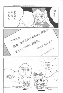 ふぁんはうす 3, 日本語