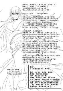 ドSな姫は汚される 辱ノ后 双姦遊戯, 日本語