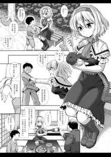 Touhou Ryoujoku 45 Alice, 中文