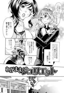 エロ漫画女子。, 日本語