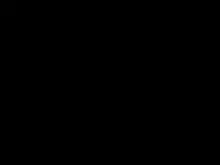 で、どっちがいいんだよ？イイのよ？, 日本語