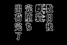 壁肉便器にされた格ゲーヒロイン達, 日本語