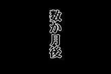 壁肉便器にされた格ゲーヒロイン達, 日本語