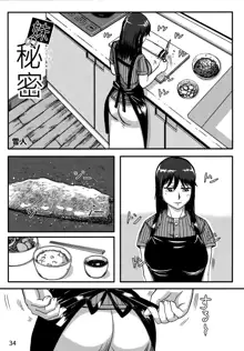 Otonano Omochiya Vol.13, English