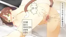 Ore no Kanojo ni wa Nekomimi ga Haeteiru | 나의 여친에겐 고양이 귀가 나 있다, 한국어