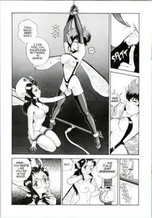 Bondage Fairies Extreme 4, English