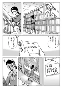 図書委員, 日本語