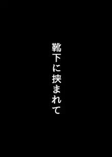 学校の中でヤるHなこと, 日本語