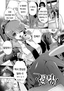 Hatsukoi Melty - Melty First Love, 한국어