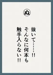 虜囚の女騎士淫語カルタ, 日本語