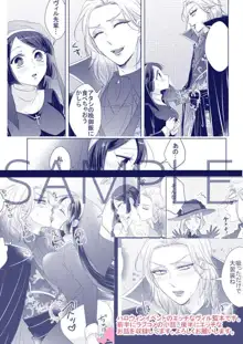 Vampire×Sister, 日本語