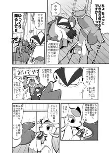 Mienshao & Lucario, 日本語