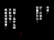 Saimin Seikyouiku 9, 中文