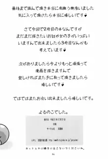 ポケポケ 2, 日本語