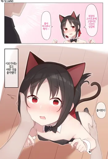 Nekomimi no Kaguya-sama