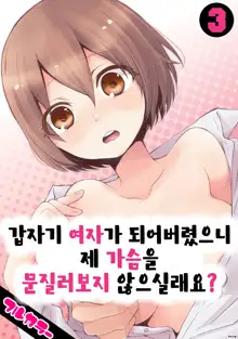 Totsuon! ~Totsuzen Onnanonko Ni Natta No De, Ore No Oppai Monde Mimasen Ka? 3 | 갑자기 여자가 되어버렸으니 제 가슴을 문질러보지 않으실래요? 3, 한국어