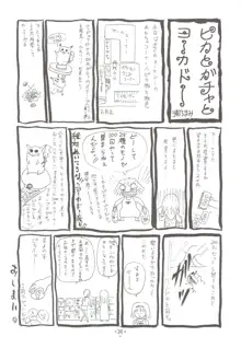 四面楚歌5, 日本語