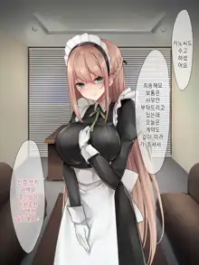 Da-maid-san wa Aisaretai!｜몹쓸 메이드 씨는 사랑받고 싶어!, 한국어