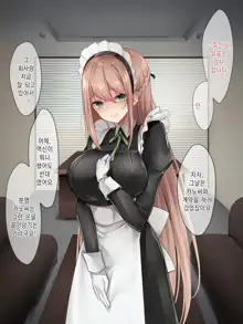 Da-maid-san wa Aisaretai!｜몹쓸 메이드 씨는 사랑받고 싶어!, 한국어