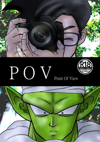 POV, 日本語