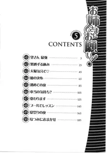 お姉さまにお願いっ!5, 日本語