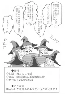 魔道士デミアのSM露出日誌, 日本語