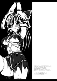 Touhou ryoujoku 16, 中文