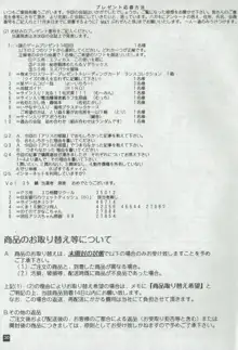 アリスのでんちばくだん Vol. 01, 日本語