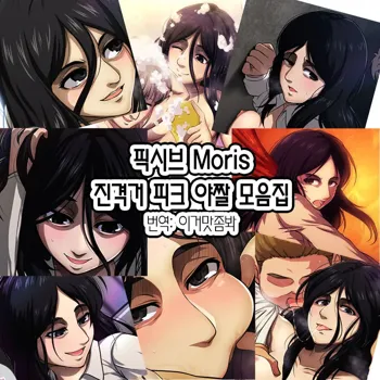 Pixiv Pieck Finger Hentai Collection | 진격거 피크 야짤 모음집