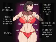 초 NTR, 한국어