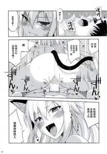 Neko to Geboku V, 中文