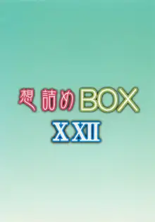 Omodume BOX XXII, 中文