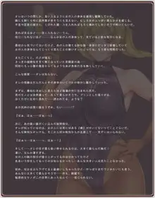 憧れのお姉さんはバニーガール 02/Second Bunny Girl, 日本語