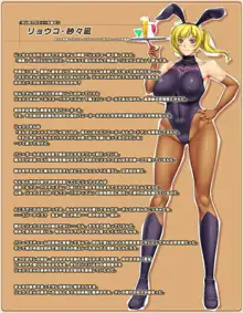 憧れのお姉さんはバニーガール 02/Second Bunny Girl, 日本語