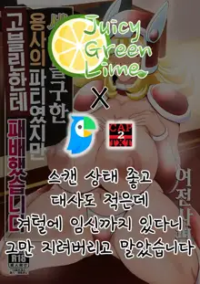 Sekai o Sukutta Yuusha no Party dakedo Goblin ni Netoraremasu Onna Senshi | 세계를 구한 용사의 파티였지만 고블린한테 패배했습니다, 한국어