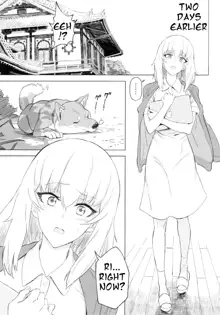 ERIKA Vol. 3, English