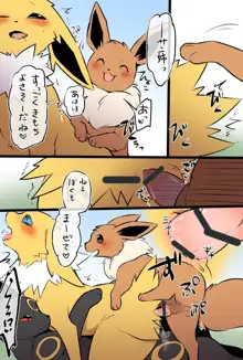 Poke eeveelution doujin by diga tsukane, 日本語