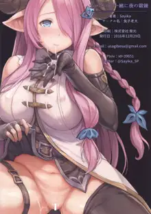 Narmaya to Issho ni Yoru no Tanren | Training Together With Narmaya, English