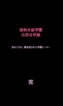 強制女装学園・白百合学級 ～淫女体化へと身も心も魔改造されてく学園ヒーロー～, 日本語