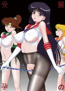 Pregnant Rei Hino, 中文